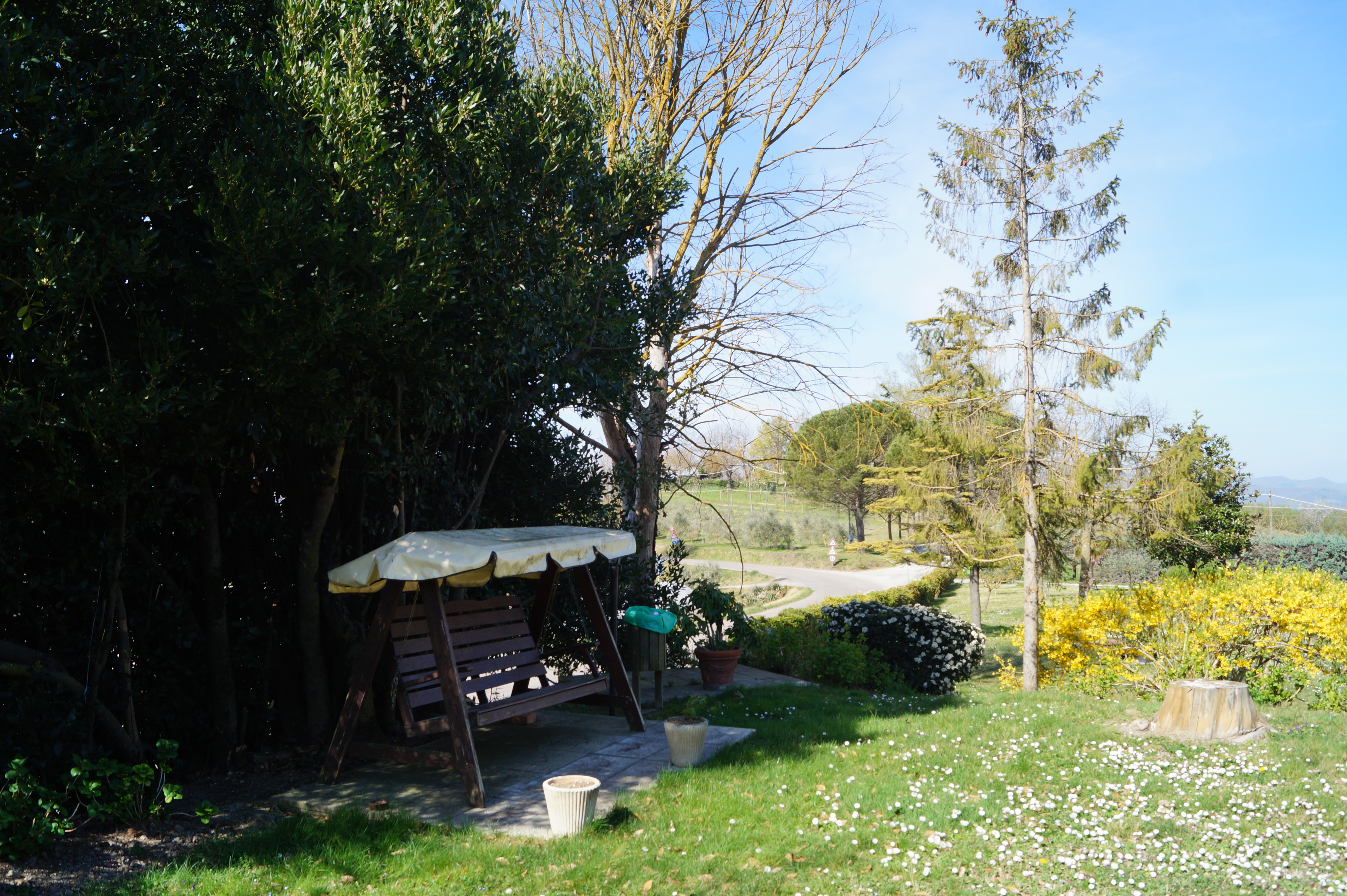 Park przed agroturystyka